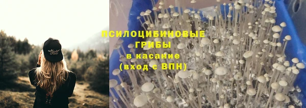 круглые Белокуриха