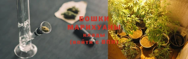 круглые Белокуриха