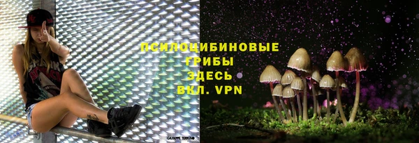 крисы Строитель