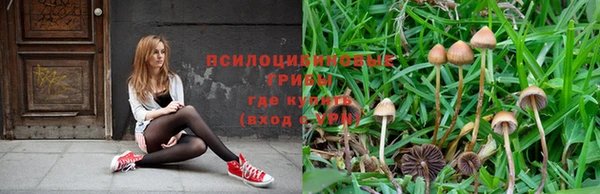2c-b Белоозёрский