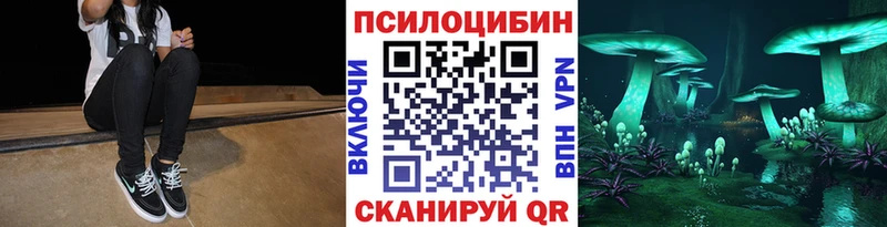 Псилоцибиновые грибы MAGIC MUSHROOMS  как найти закладки  Гремячинск 